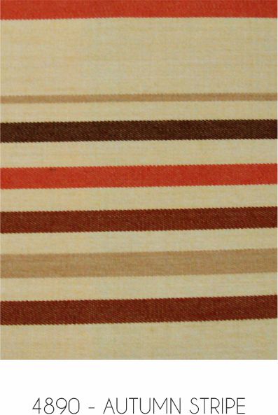 4890 - autum stripe.jpg