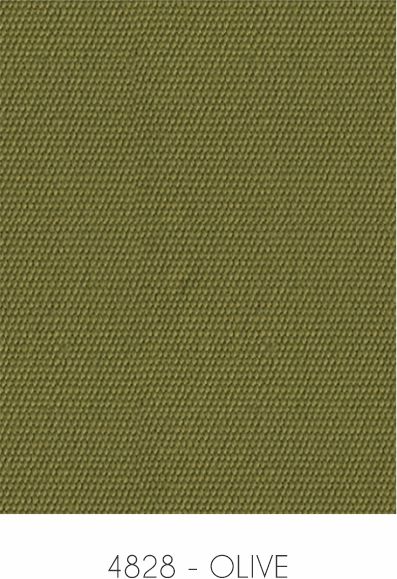 4828 - OLIVE.jpg