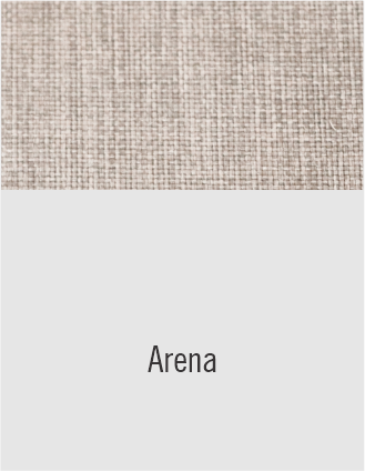 WP ARENA.png