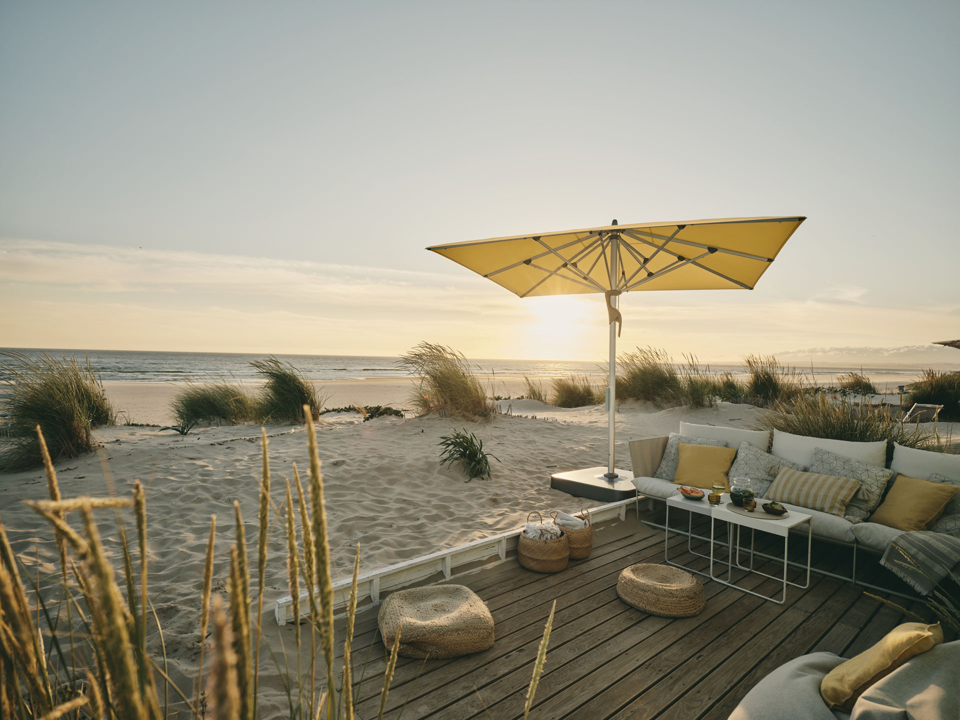 fortello-led_day_2023 (1).jpg